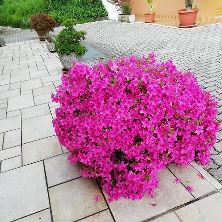 Alloggio Cristina Valdobbiadene Kültér fotó