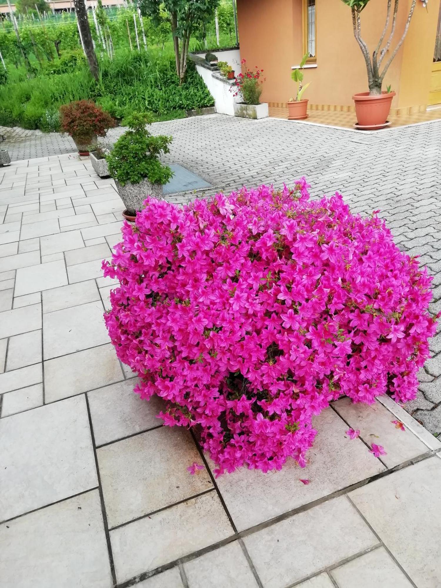 Alloggio Cristina Valdobbiadene Kültér fotó